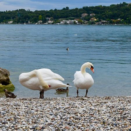 Villa Donne Del Lago Vittoria サロ エクステリア 写真